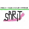 ph-spirit-toyo04